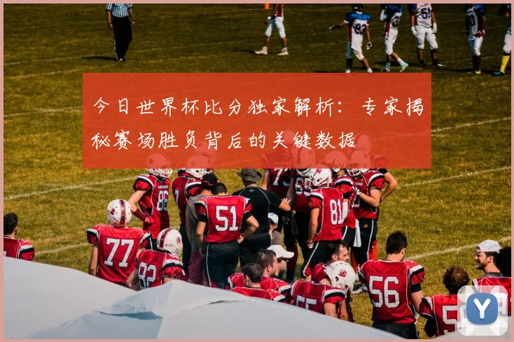 今日世界杯比分独家解析：专家揭秘赛场胜负背后的关键数据