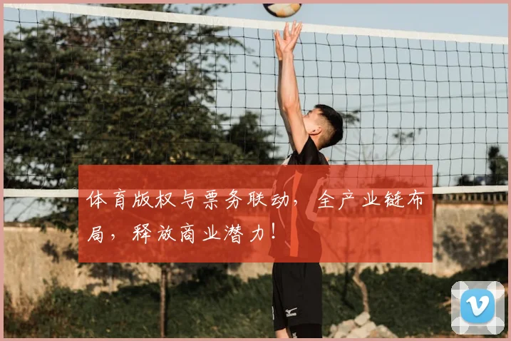 体育版权与票务联动，全产业链布局，释放商业潜力！